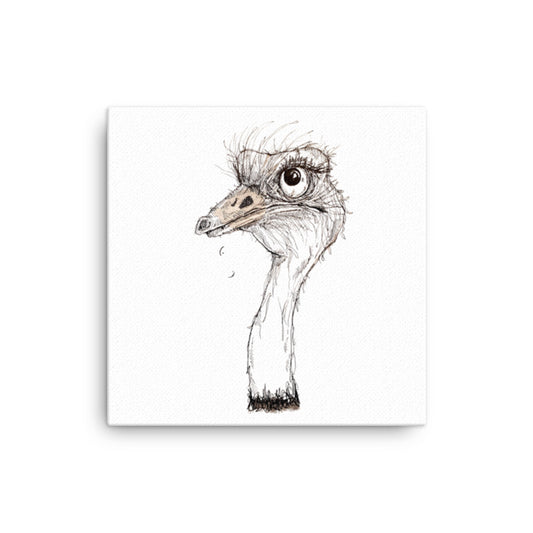 God Said "Genesis Collection" Ostrich- 12" x 12" or 16" x 16" Canvas