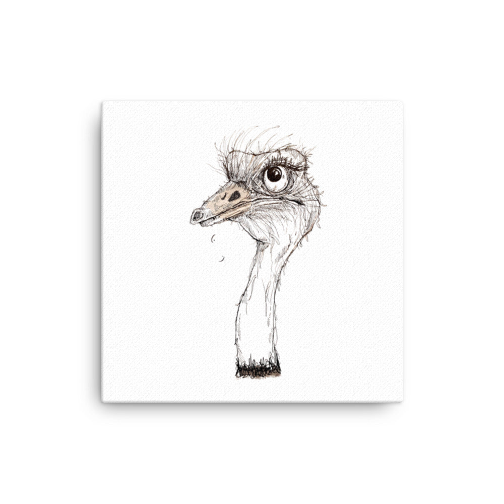 God Said "Genesis Collection" Ostrich- 12" x 12" or 16" x 16" Canvas